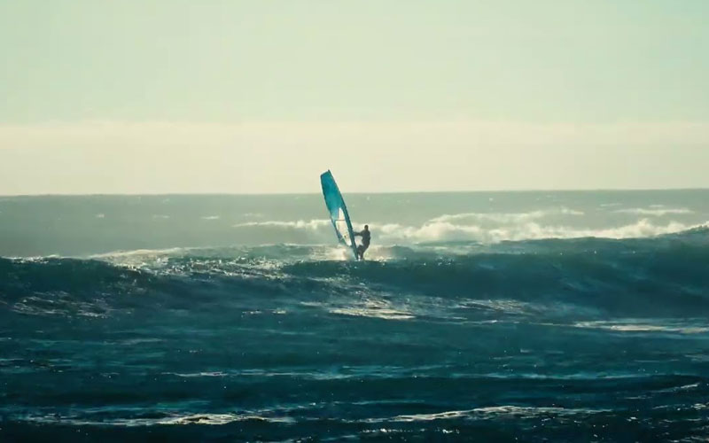 Nov 7 2025 - Thuledog