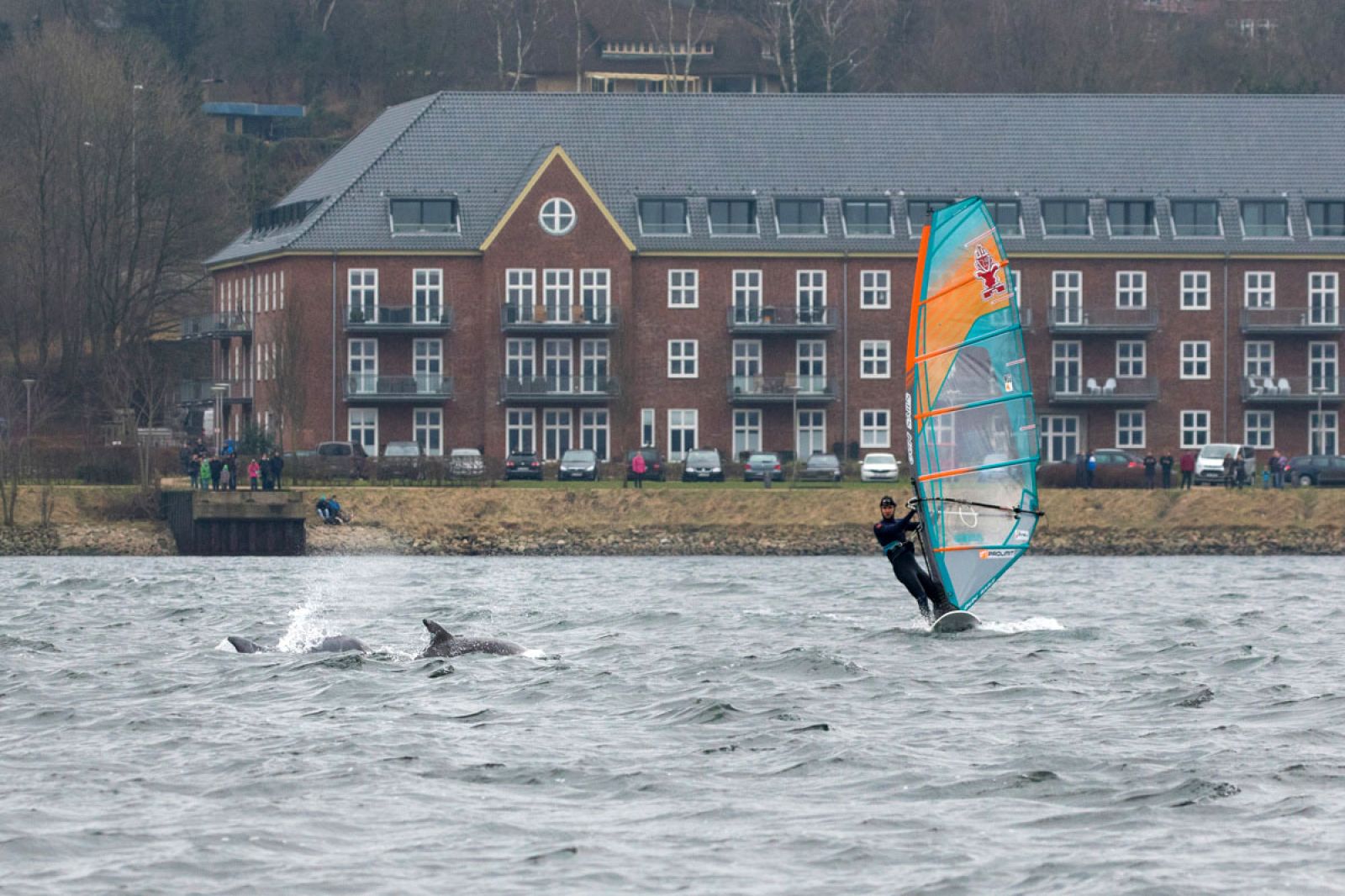 Valentin Böcklers einzigartiges Elebnis: Windsurfen mit Delfinen an der Ostsee 